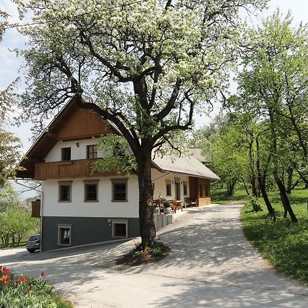 Farm Stay Dolinar Krainer Бохиньска-Бела Экстерьер фото