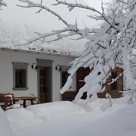 Farm Stay Dolinar Krainer Бохиньска-Бела Экстерьер фото