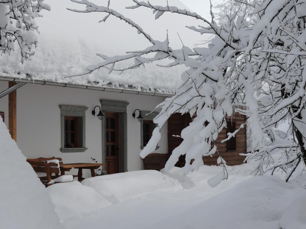 Farm Stay Dolinar Krainer Бохиньска-Бела Экстерьер фото